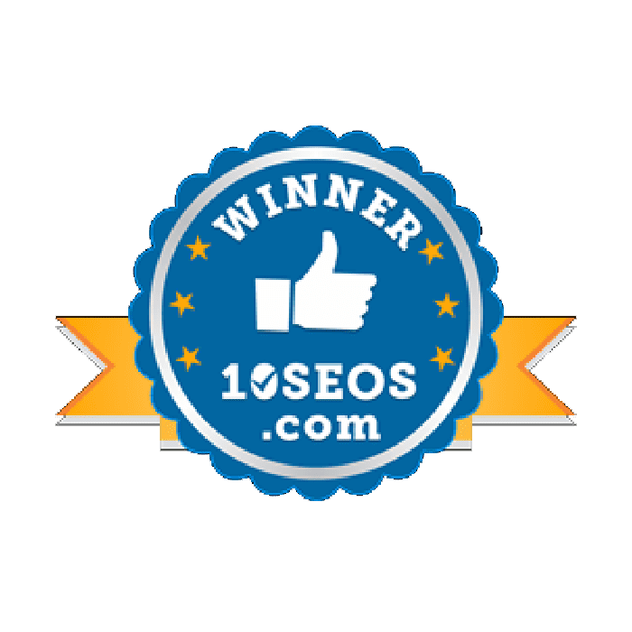 Top SEO Company in Jaipur – Verve Online Marketing