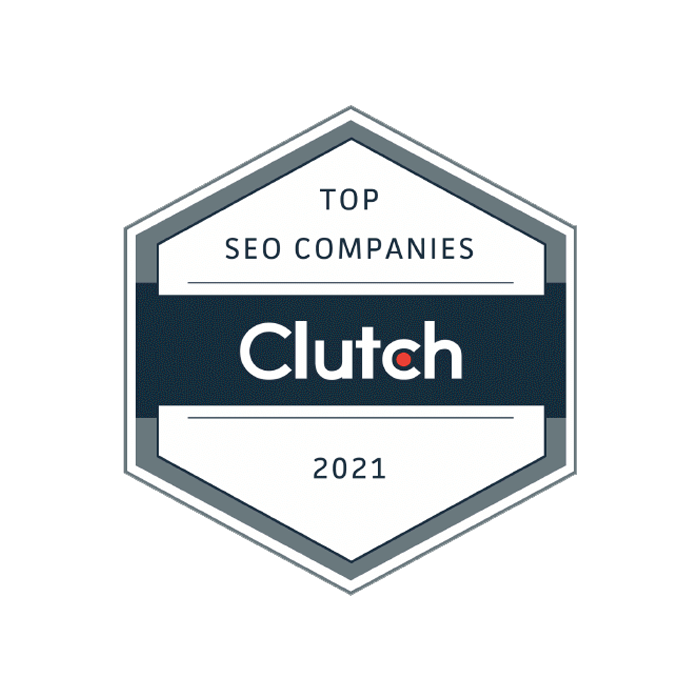 SEO Company in Jaipur – Verve Online Marketing